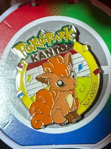 포켓파크 칸토 한정판 로콘 핀 배지