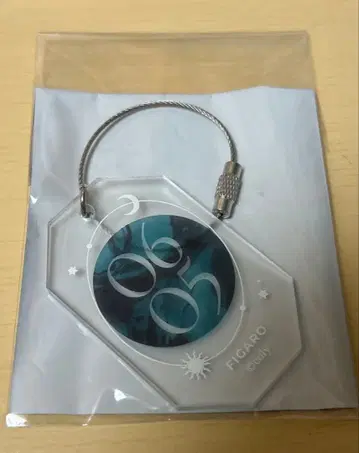 마법사의 약속 마호야쿠 트레이딩 매트 아크릴 키링 피가로