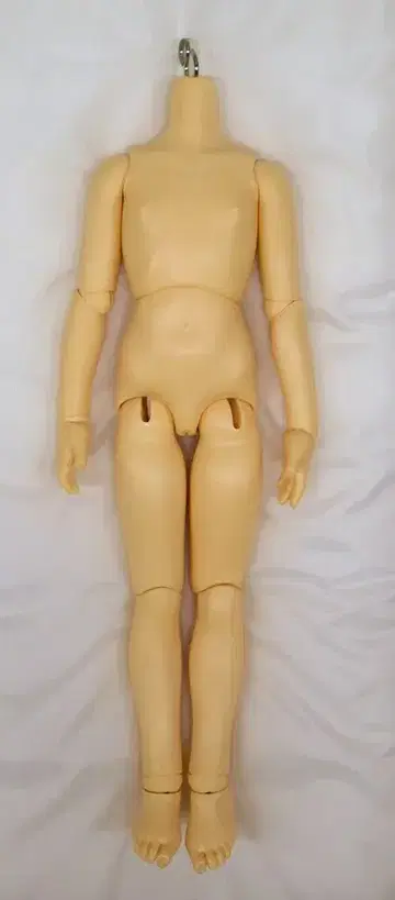 보크스 MSD 여아 바디만 노멀 스킨