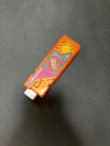 가면라이더 더블 DX 가이아 메모리 간바라이드 메모리