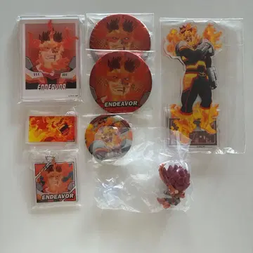 엔데버 묶음 판매