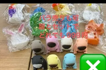 코스튬 포뇨카피콜로 옷 갈아입히기 파티 카피바라