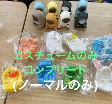 포뇨카피 콜로 옷 갈아입히기 파티 카피바라 노멀 코스튬만 컴프