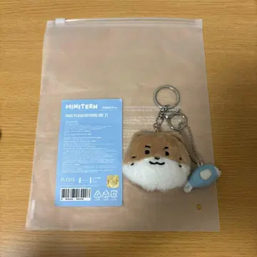 SEVENTEEN miniteen 디노 찬다리 페이스 키링