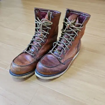 RED WING 아이리쉬 세터 [개 각인]
