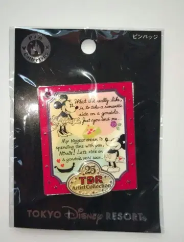 디즈니 리조트 / 핀 배지 / Artist Collection