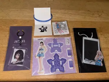 aespa 하이퍼 라인 패러렐 라인 윈터 굿즈