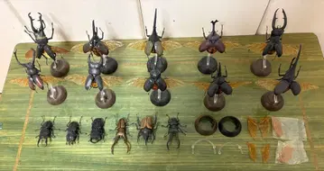 생물 대도감 사슴벌레 장수풍뎅이 묶음 판매