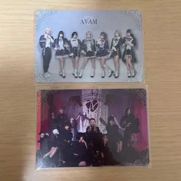 AVAM 랜덤 트레이딩 카드 2장
