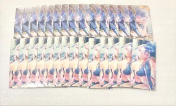 fgo 최종 재림전 편성 화면풍 카드 세트 티아마트