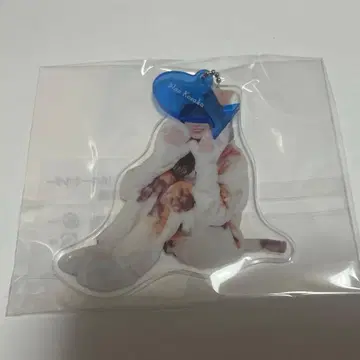 코사카 나오 동물 인형옷 키링