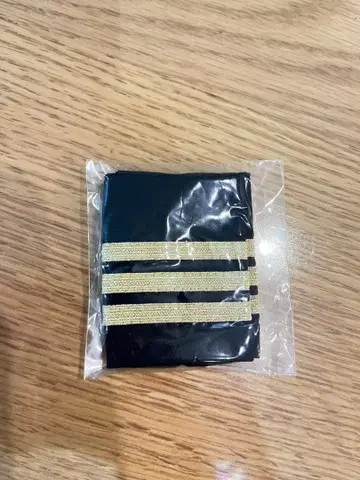 파이롯트 블랙 베이스 골드 컬러 3본 라인