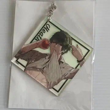 브라스 AGF2021 아크릴 키링 (팀 B 히스)