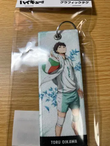 하이큐 그래픽 택 오이카와