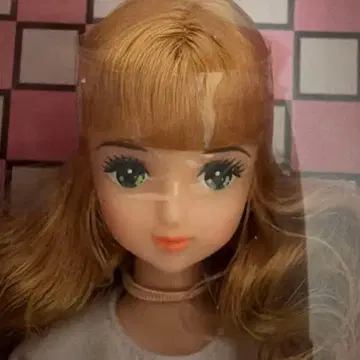 제니 프렌드 사쿠라코 리카짱 캐슬 니혼바시 한정판 BASIC 모델