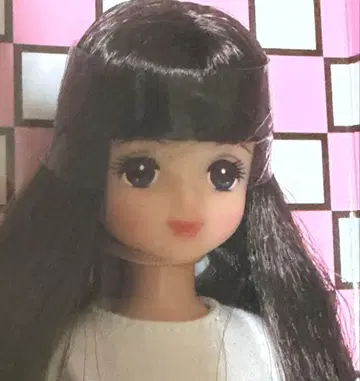 리카짱 프렌드 미호짱 일본바시 BASIC 모델 리카짱 캐슬