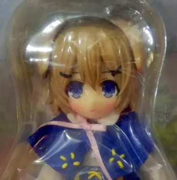 아존 피코니모 미미 정원 박물지 와플