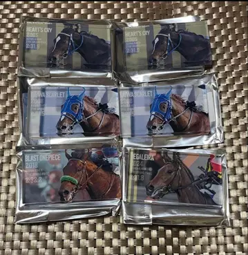 아리마 기념 아크릴 블록 서러브레드