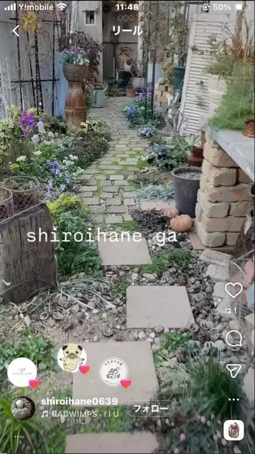 fall-in &co 린넨 블라우스