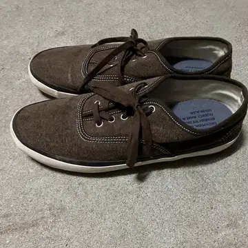 리프로덕션 오브 파운드 스티븐 앨런 별주