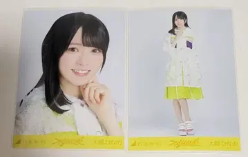 노기자카46 브로마이드 부도덕한 여름 오오코시 히나노 요리히키