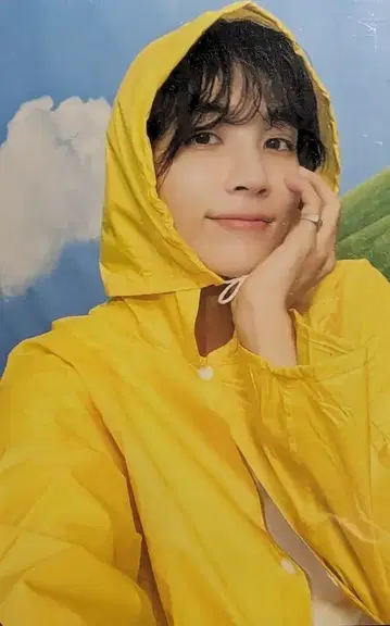 SEVENTEEN 정한 SEVENTEENTH HEAVEN 캐럿