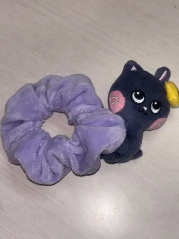 RIIZE 원빈 냥냥 스크런치