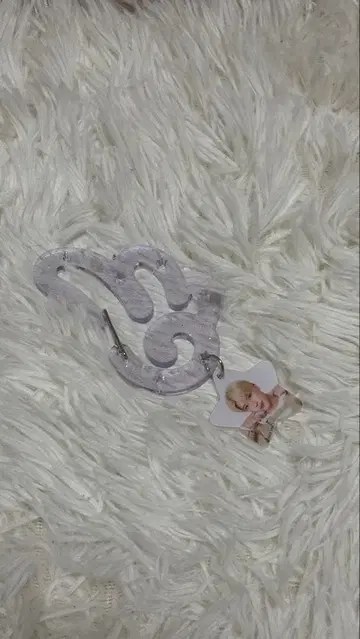 nct wish 시온 Our WISH 카라비너 키링