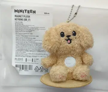 세븐틴 미니틴 DK 마그넷 플러시 키링