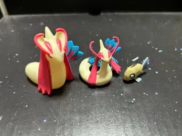 잉어킹 갸라도스 몬코레