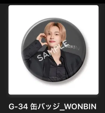 RIIZE 원빈 캔뱃지 랜덤 토이 도쿄돔 공연 한정판