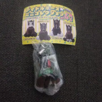 아이돌 호스 미니 컬렉션 vol.42 시란케도