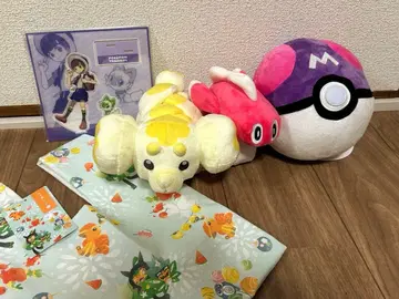 포켓몬 봉제 인형, 아크릴 스탠드, 백 5종 세트
