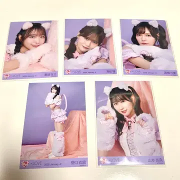 =LOVE 이코러브 고양이 의상 브로마이드 5장 세트 노구치 이오리