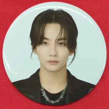 SEVENTEEN 2023FOLLOW to JAPAN 정한 캔 배지