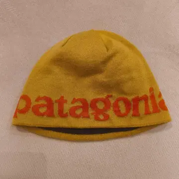 파타고니아 비니