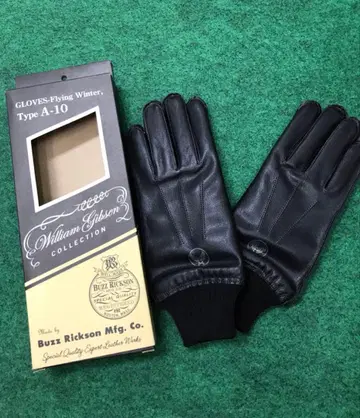 버즈릭슨 윌리엄 깁슨 A-10