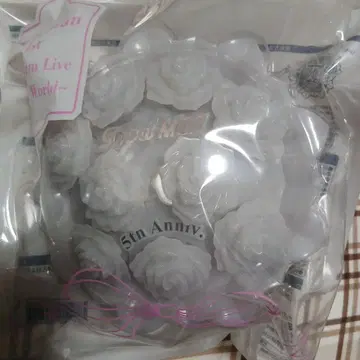 SnowMan 1st Stadium Live Snow World 응원봉