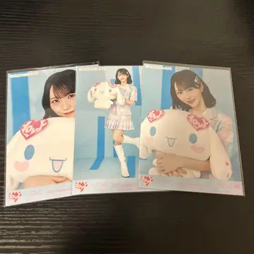 =LOVE 이코러브 노구치이오리 브로마이드 시나모롤 콜라보 2025 컴프