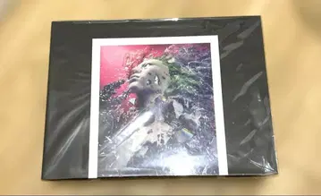 HIDE YOUR FACE 3CD+Blu-ray 미개봉