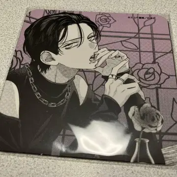 봄의 폭풍과 몬스터 카페 코스터 카야