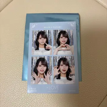 이코러브 사사키 마이카 4컷 사진