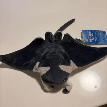 오키나와 추라우미 수족관 쥐가오리 봉제 인형 S