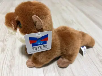 수달 봉제 인형 약 20cm 카이유칸