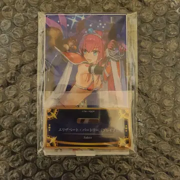 엘리자베트 바토리 브레이브 아크릴 스탠드 FGO 최종 재림전