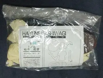 T's system 흔 ~키즈아토~ 카시와기 하츠네 1/6 레진 키트