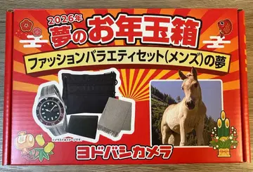 TIMEX 쿼츠 손목시계 오토시다마 상자 세트