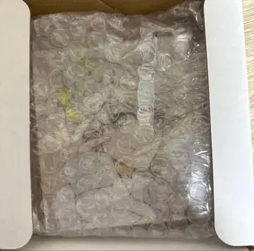 도쿄 에이리언즈 군지 아키라 아크릴 블록