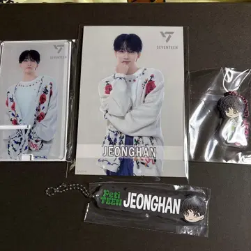 SEVENTEEN 정한 아크릴 스탠드 엽서 스탠드