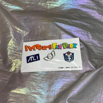 [하이큐] 팬파크 특전 3팀 마크 오리지널 핀즈